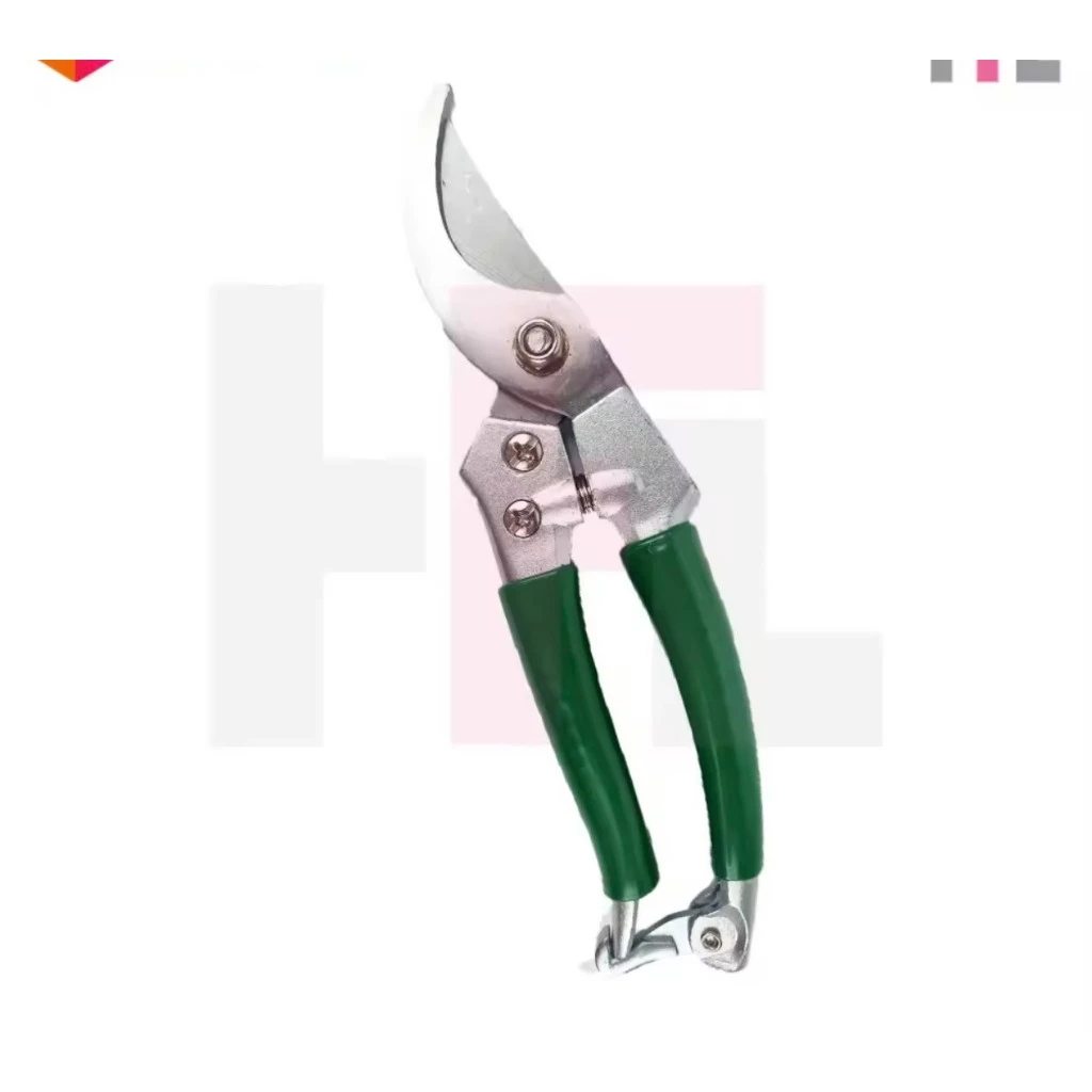 vn-11134207-7r98o-lo4wfpoo1q0n15