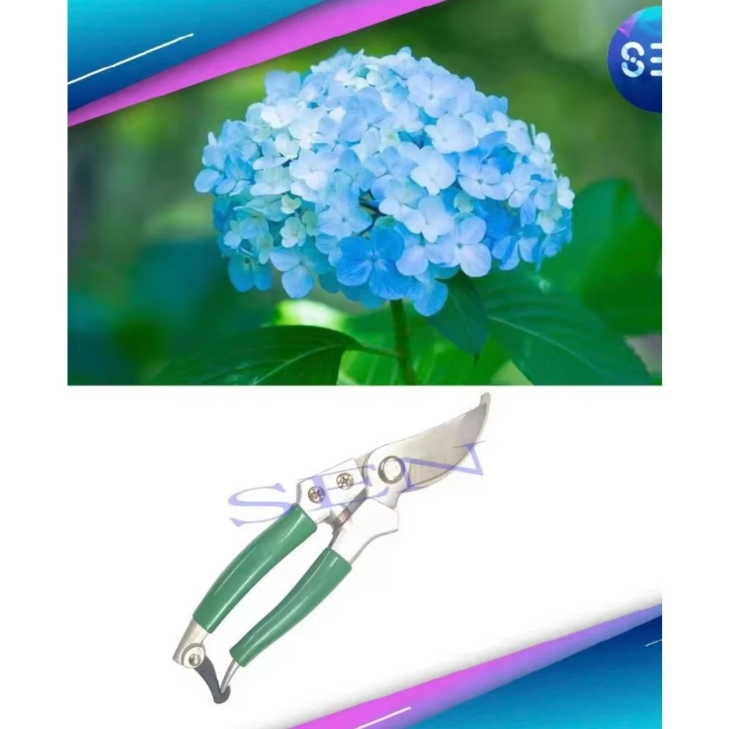 vn-11134207-7r98o-lo4wfpoo7caf13