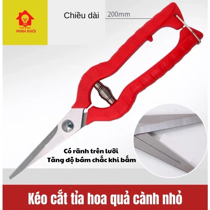 vn-11134207-7r98o-lohm24igx8zb3c