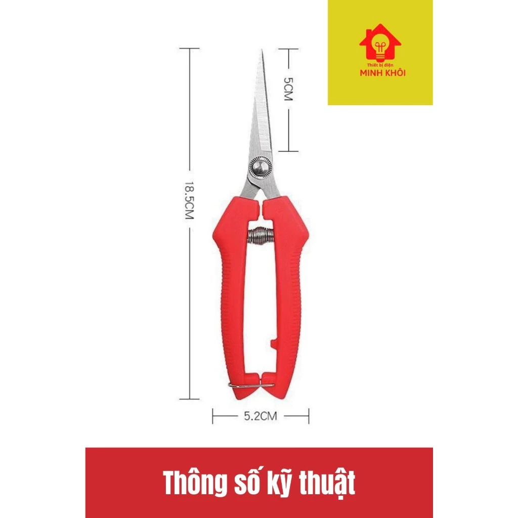 vn-11134207-7r98o-lohm24igynjre0