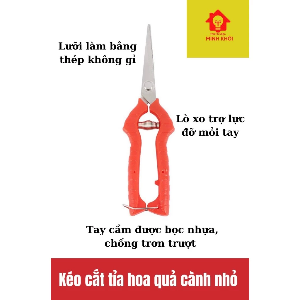 vn-11134207-7r98o-lohm24ih024781