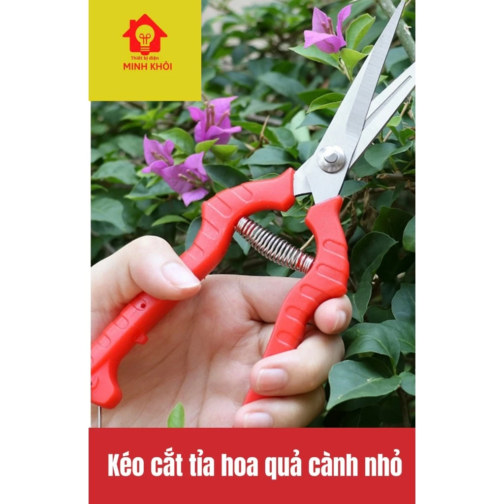 vn-11134207-7r98o-lohm24ih1gon85