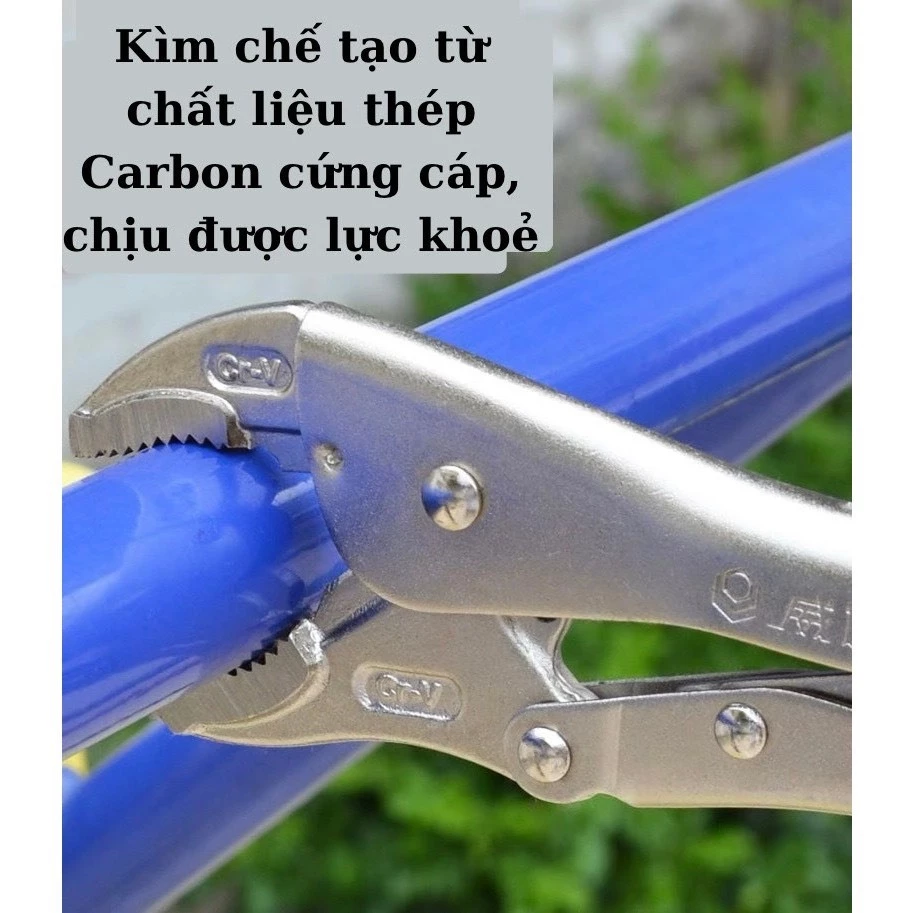 vn-11134207-7r98o-lt3e9cfbixfod0