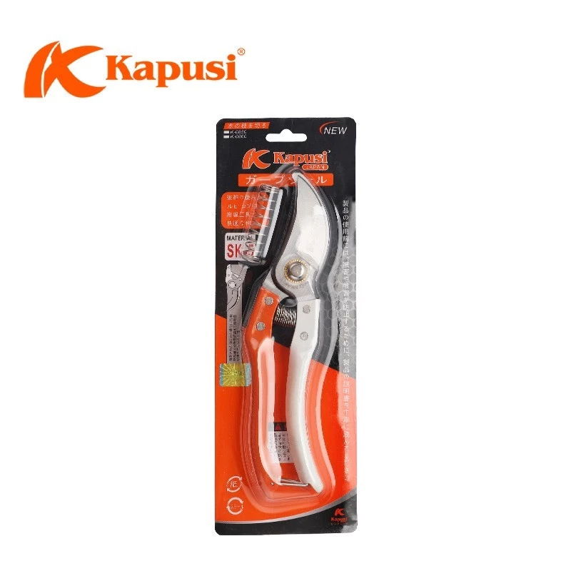 vn-11134207-7r98o-lv2xsqr1bvyy44