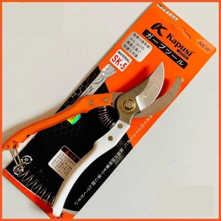 vn-11134207-7r98o-lv2xsqr1daje50