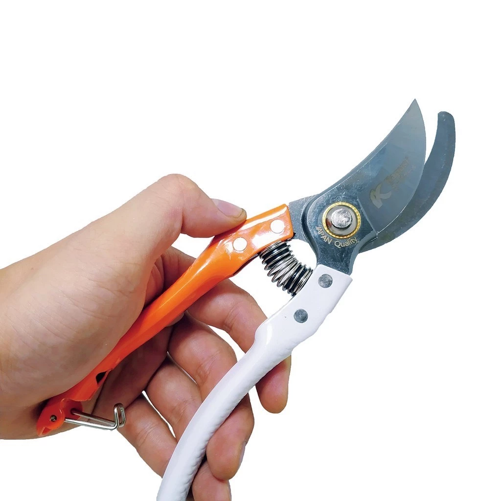 vn-11134207-7r98o-lv2xsqr2cet5e9