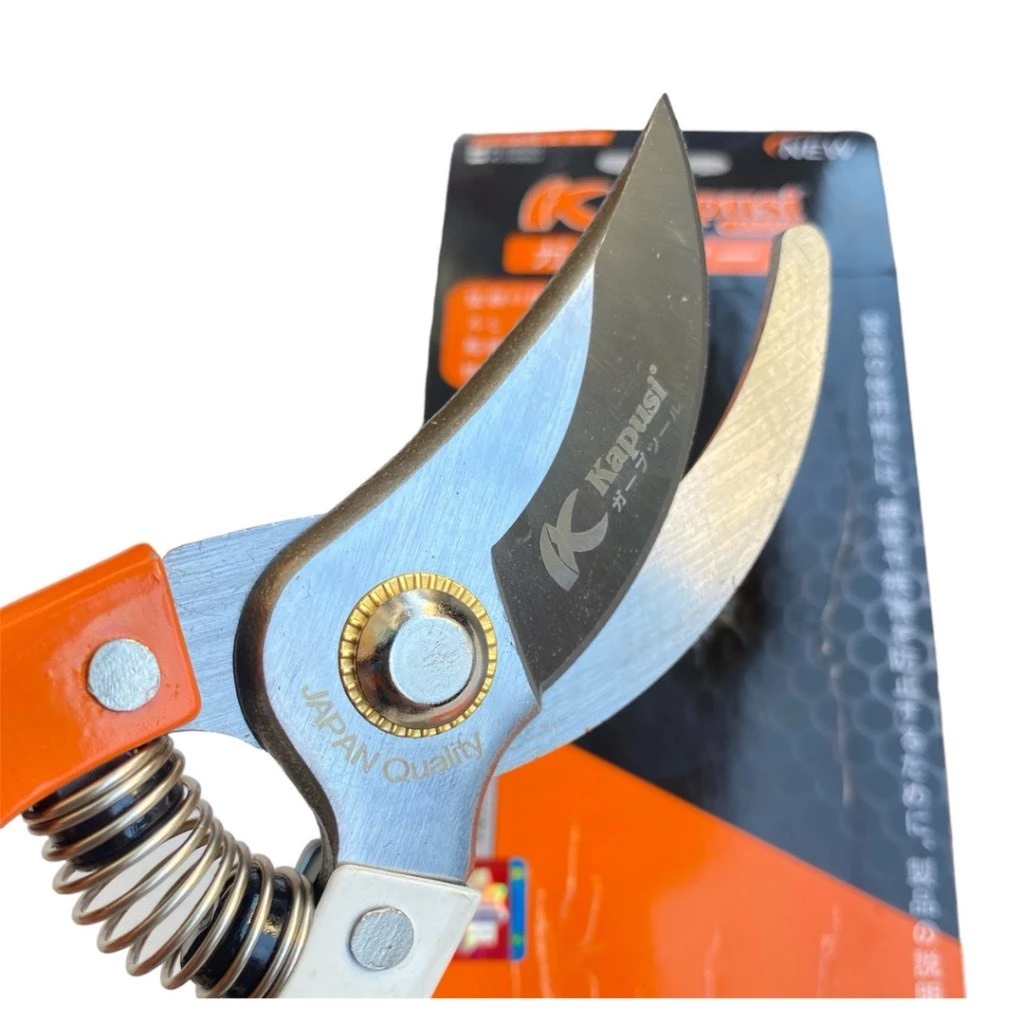 vn-11134207-7r98o-lv2xsqr2dtdldb