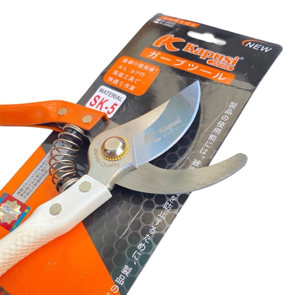 vn-11134207-7r98o-lv2xsqr2f7y184