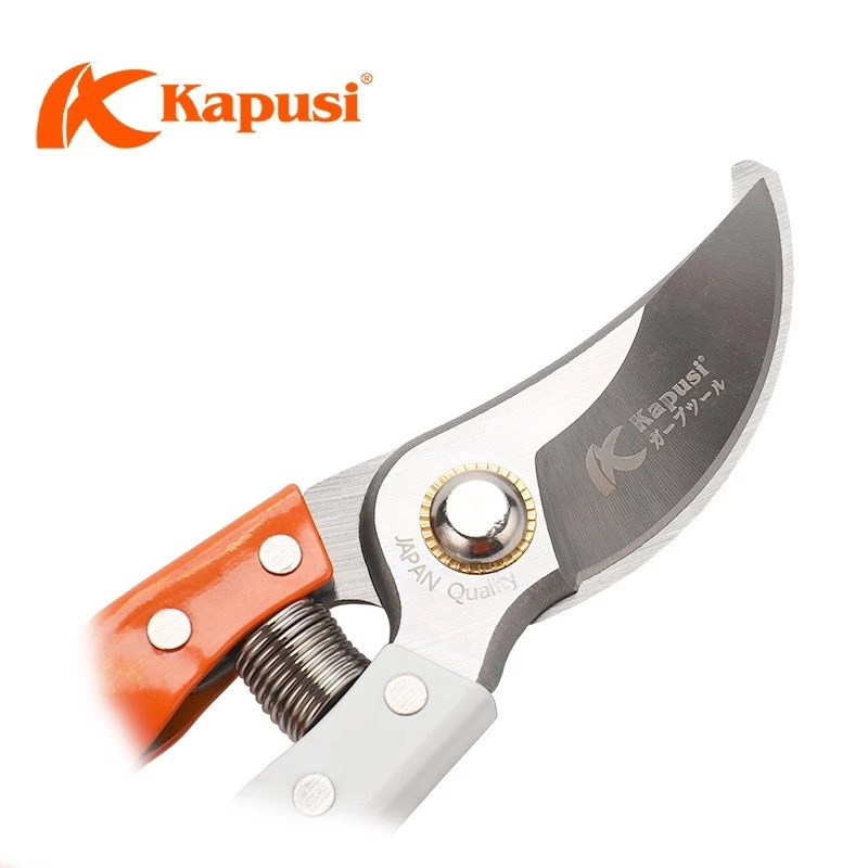 vn-11134207-7r98o-lv2xsqr2i12xe1