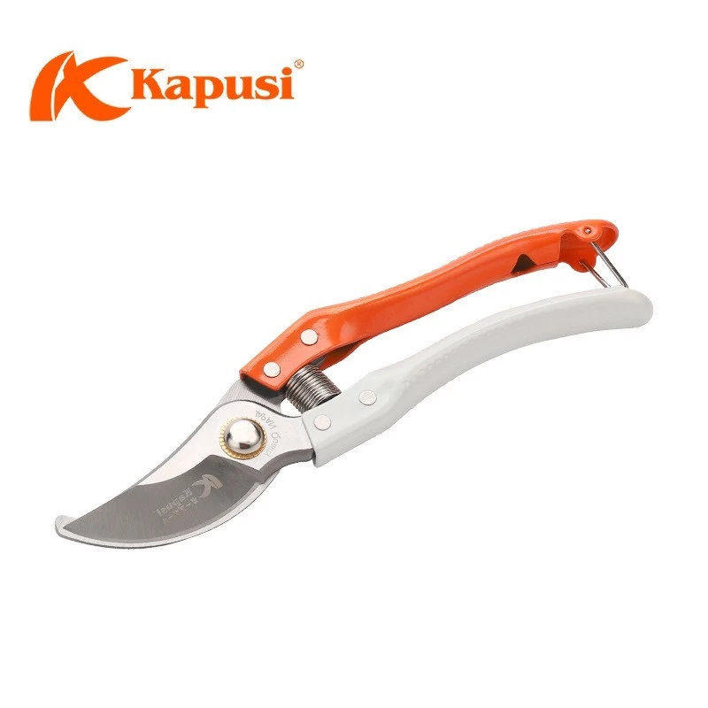 vn-11134207-7r98o-lv2xsqr2jfnd09