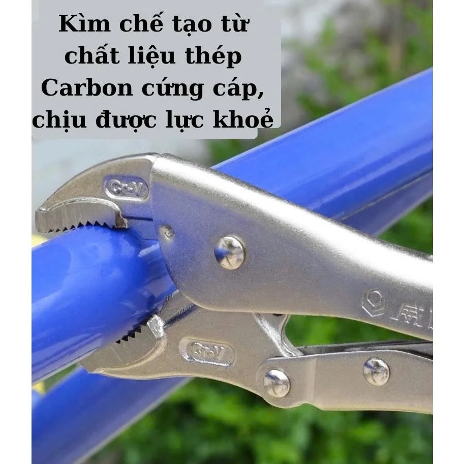 vn-11134207-7ras8-m1f9ip5hcpy04f