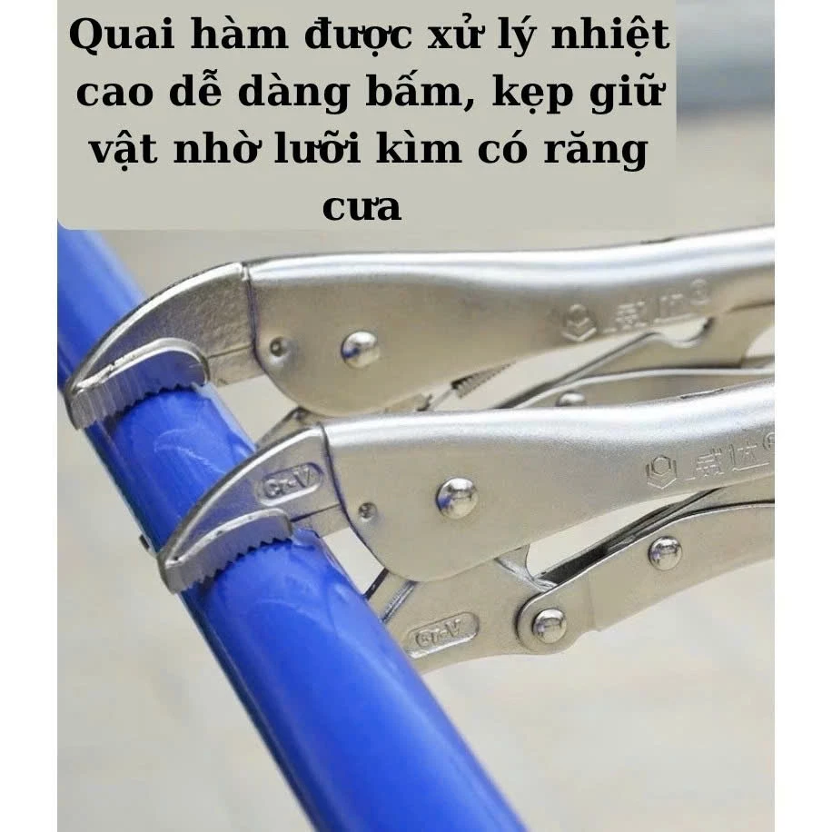 vn-11134207-7ras8-m1f9iwcctvks74